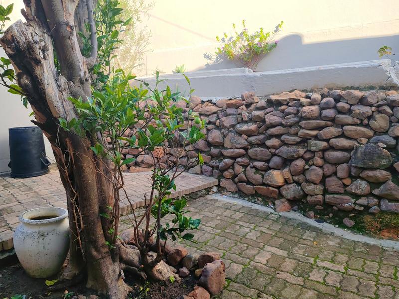 To Let 1 Bedroom Property for Rent in University Estate Western Cape